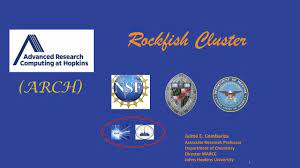 RockFish Cluster Image